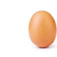 E G G