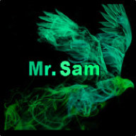 Mr. Sam