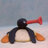 Noot Noot